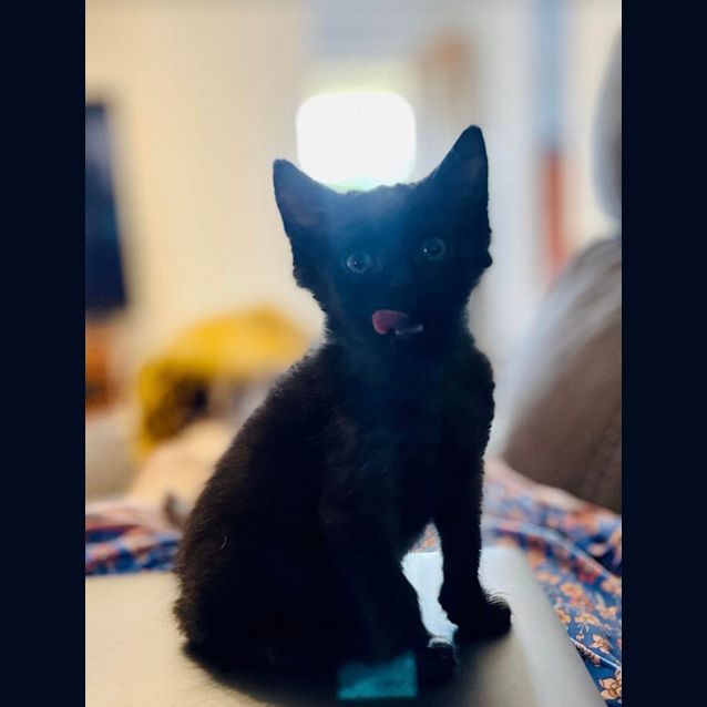 Photo of Smokey And Cole