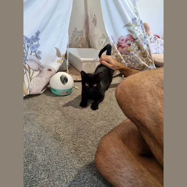 Photo of Rufus