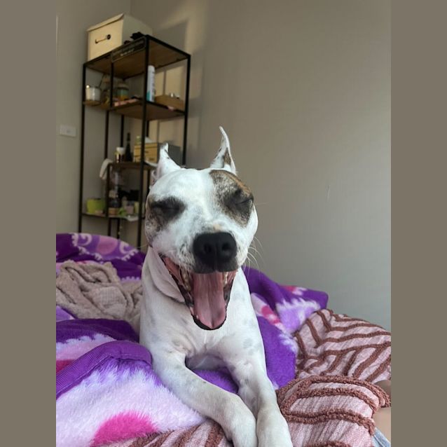 Photo of Grace 