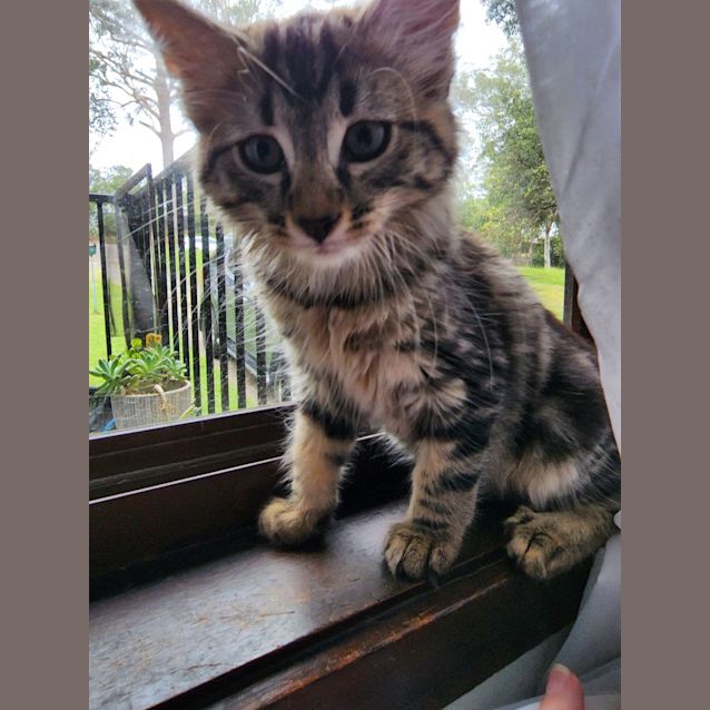 Photo of Casper 