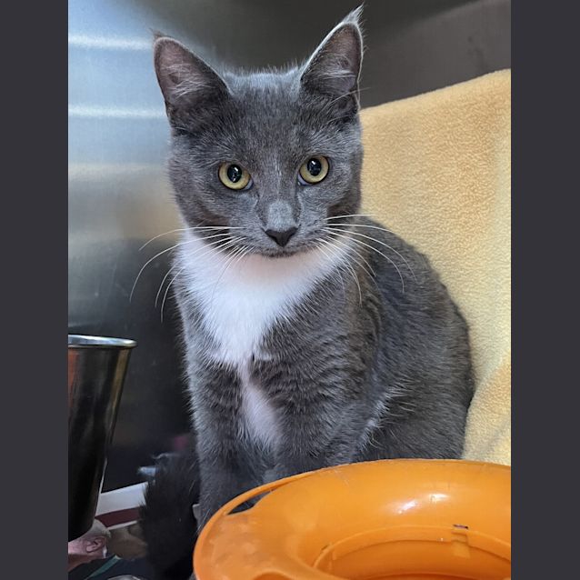 Photo of Meredith
