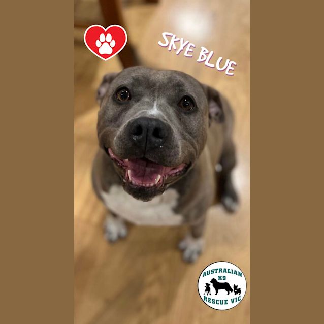 Photo of Skye Blue 