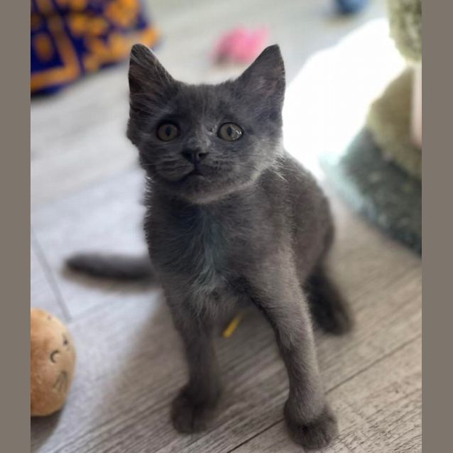 Photo of Smokey And Cole