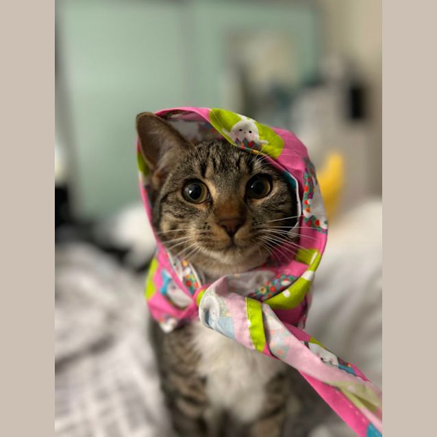 Photo of Minette