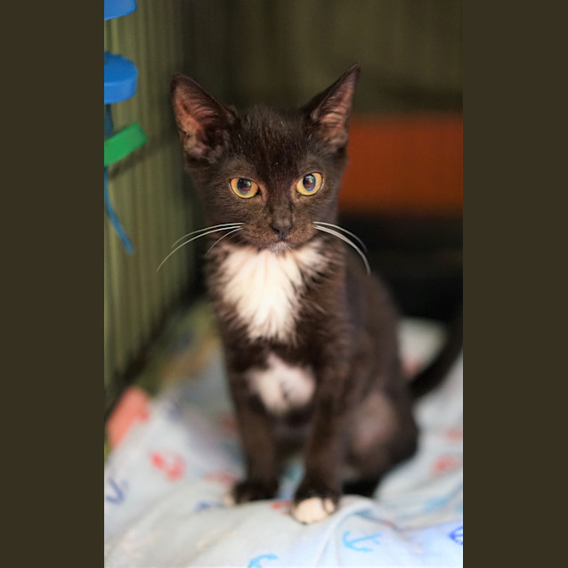 Photo of Flopsy