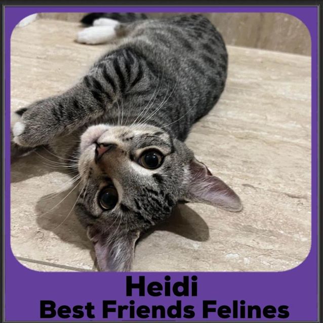 Photo of Heidi 