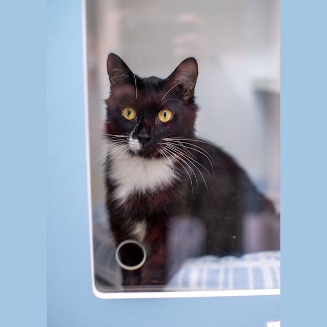 Photo of Mama