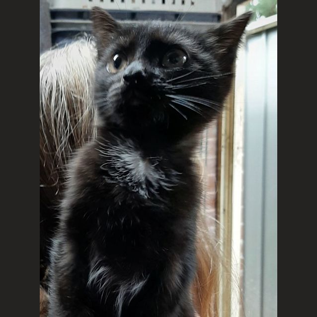 Photo of Peta