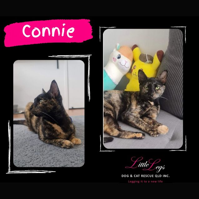 Photo of Connie