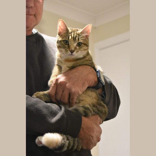 Photo of Bonnie