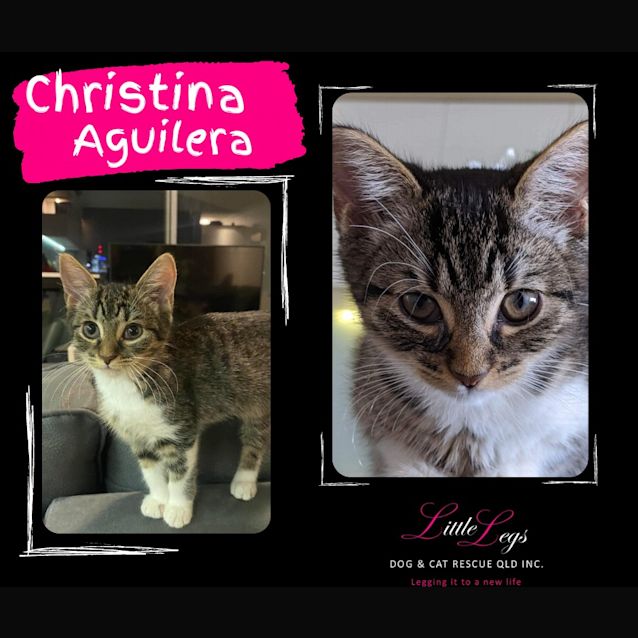 Photo of Christina Aguilera