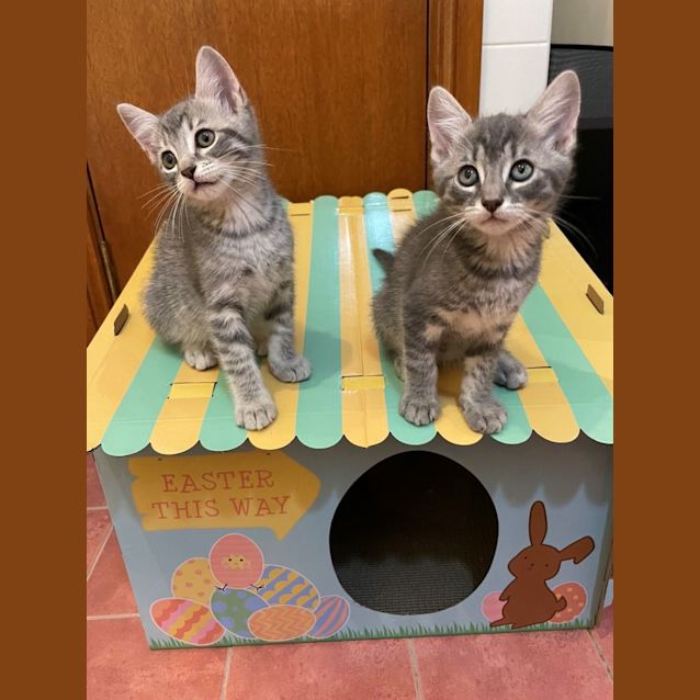 Photo of Ocean & Loche
