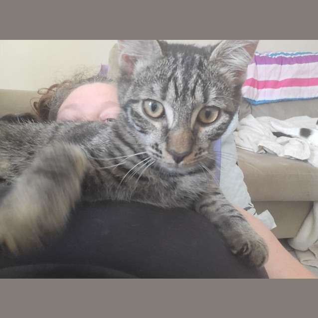 Photo of Bingo