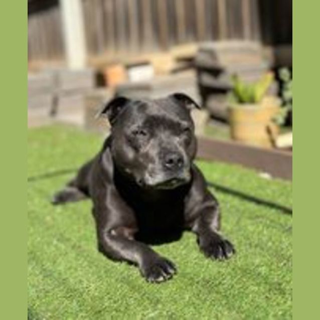 Photo of Winnie