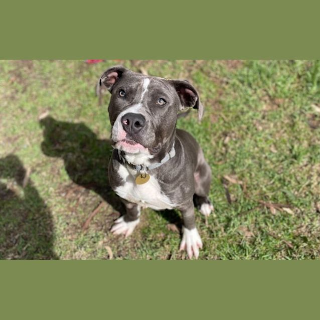 Photo of Leroy 