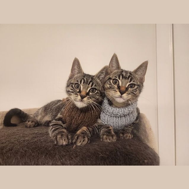 Photo of Harriet 🥰