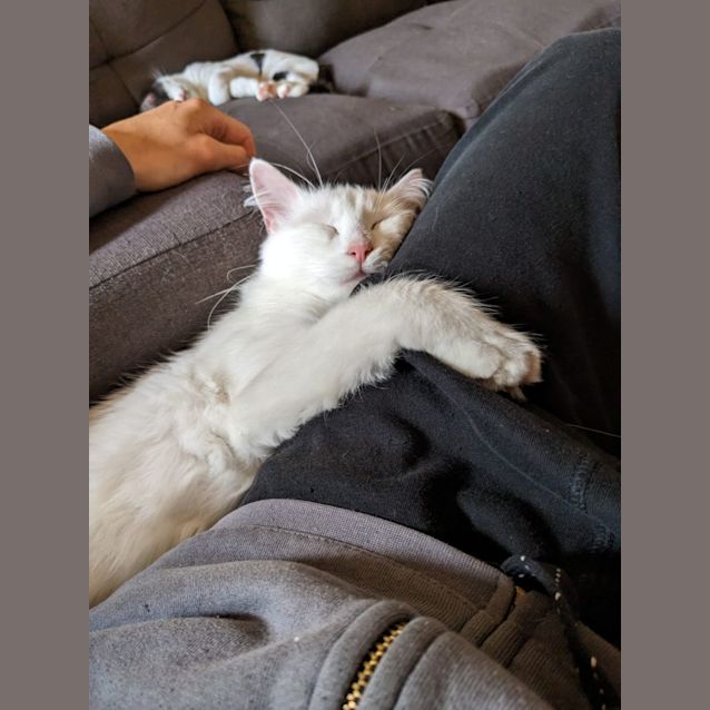 Photo of Lola