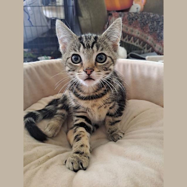 Photo of Opie (Ocean Potion)