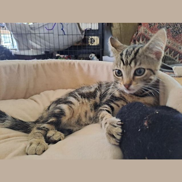 Photo of Opie (Ocean Potion)