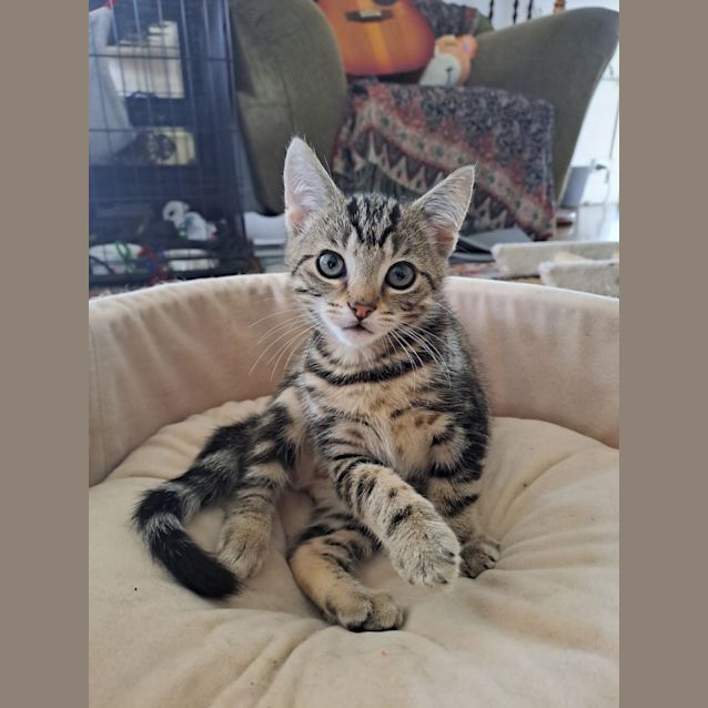 Photo of Opie (Ocean Potion)