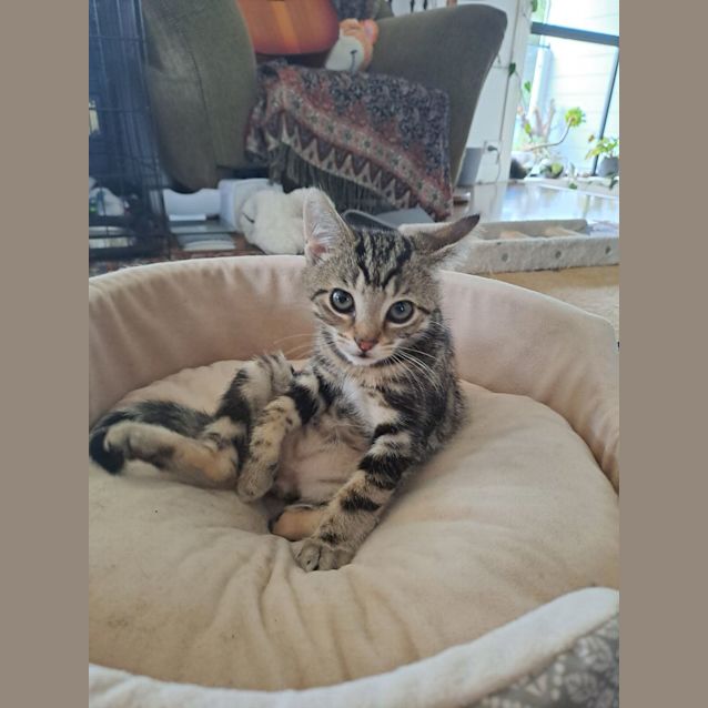 Photo of Opie (Ocean Potion)