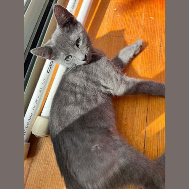 Photo of Magical Matilda 