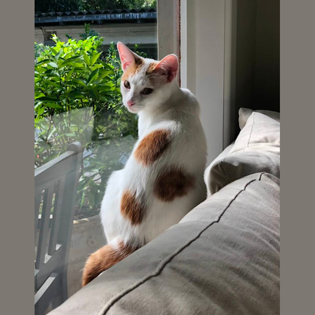 Photo of Jack And Guy