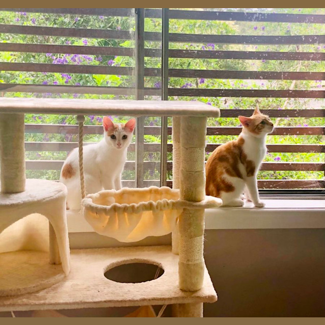 Photo of Jack And Guy