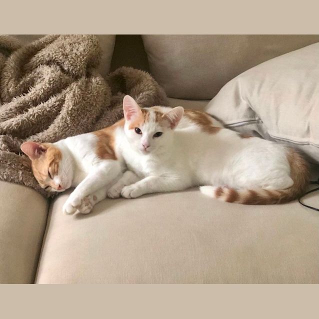 Photo of Jack And Guy