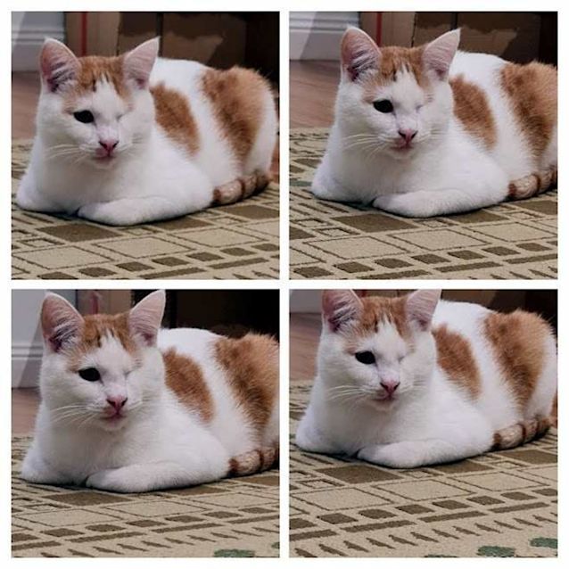 Photo of Klaus Suk010653