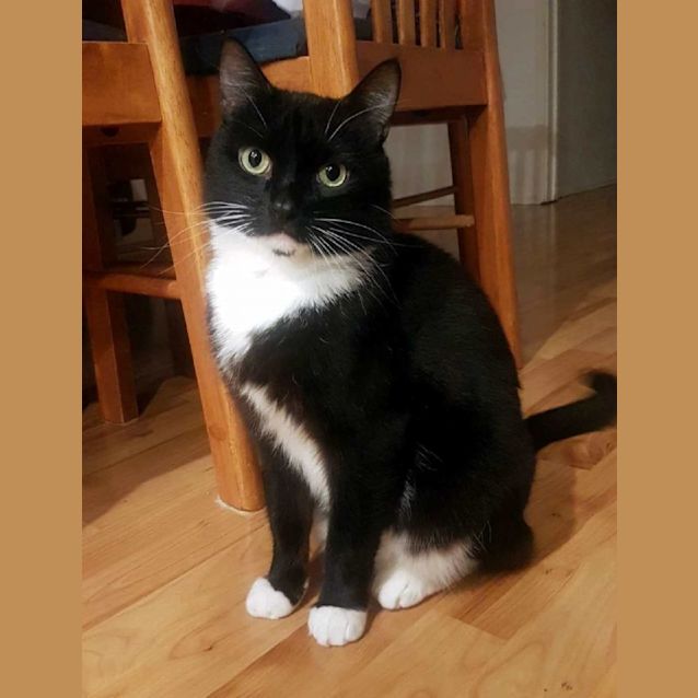 Photo of Ninja Rsta002869