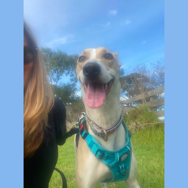 Photo of Bindi