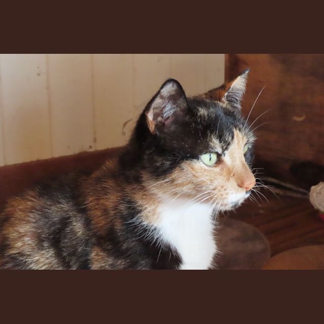 Photo of Holly