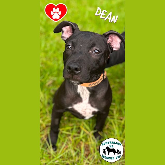 Photo of Dean 