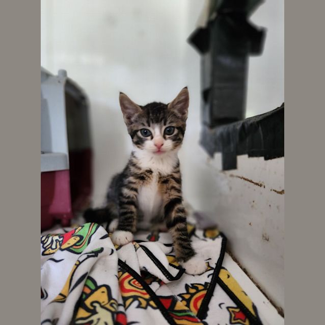Photo of Buster