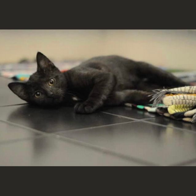 Photo of Wednesday & Wesley 