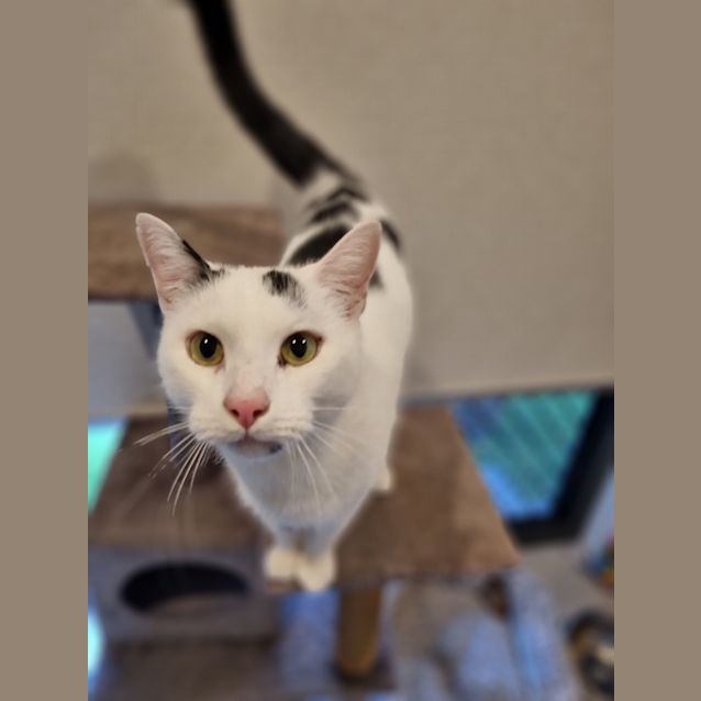 Photo of Pedro 