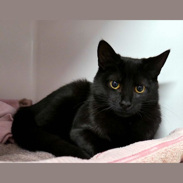 Photo of Cuz Suk011121