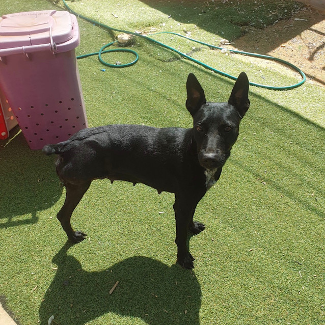 Photo of Lola