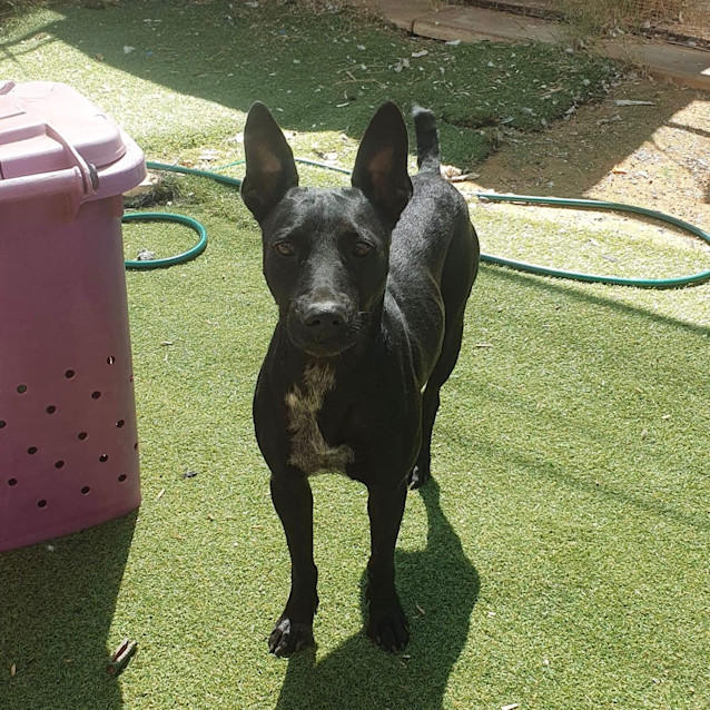 Photo of Lola