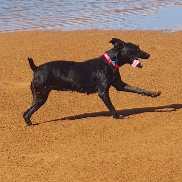 Photo of Lola