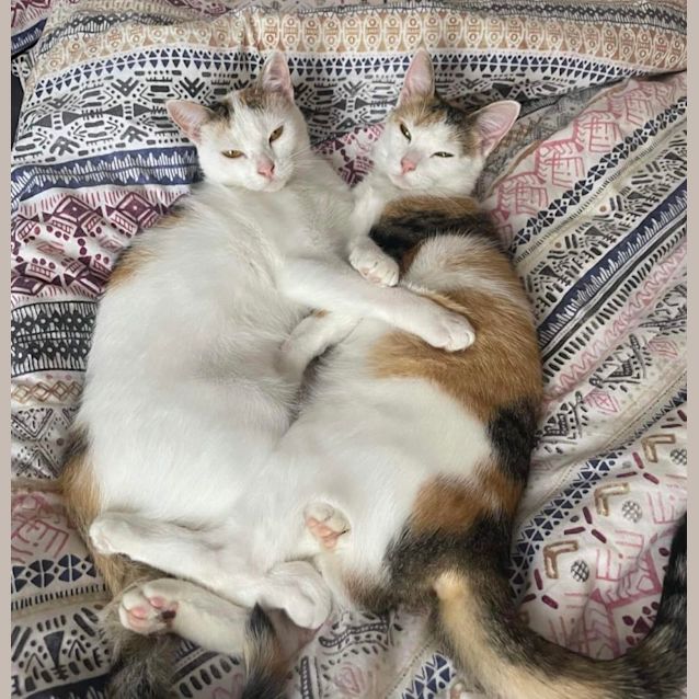 Photo of Kiki & Khloe 