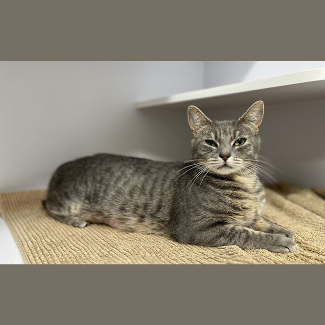 Photo of Mumma Esme