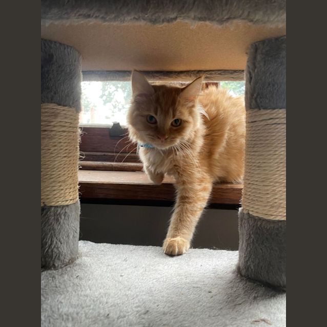 Photo of Maurice