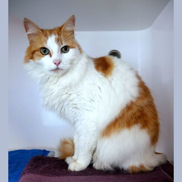 Photo of Skye Sua011193