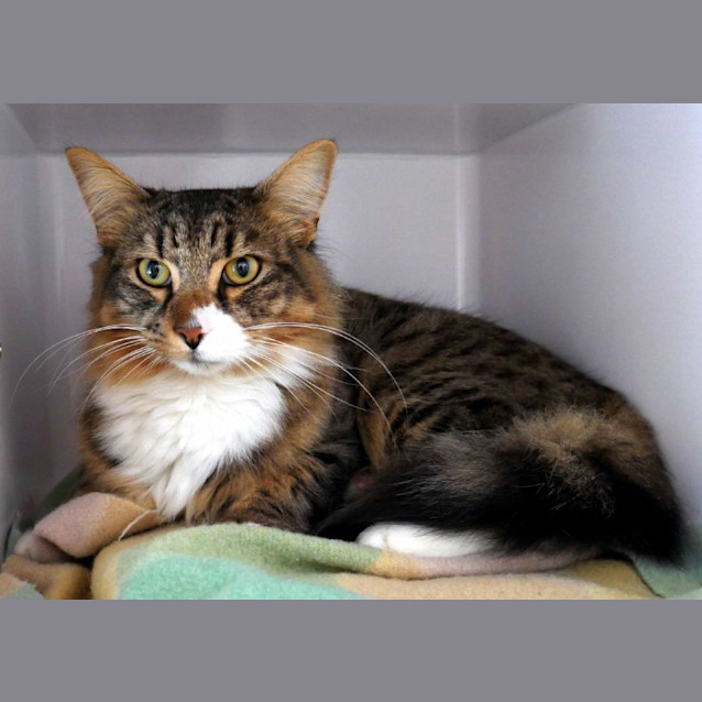 Photo of Frankie Sua011198