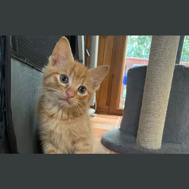 Photo of Sunny