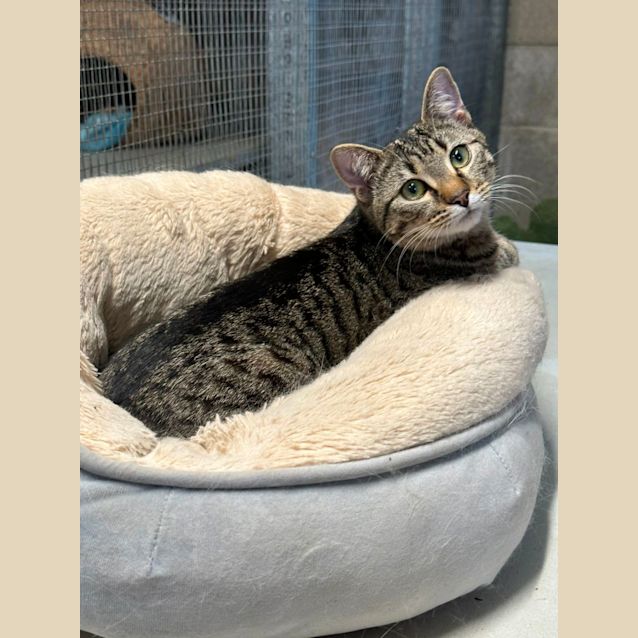 Photo of Keisha