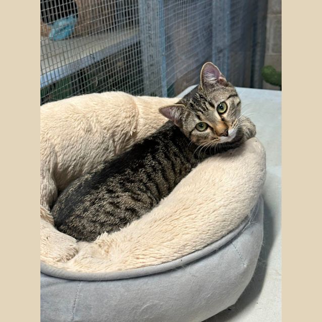 Photo of Keisha
