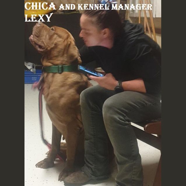 Photo of Chica